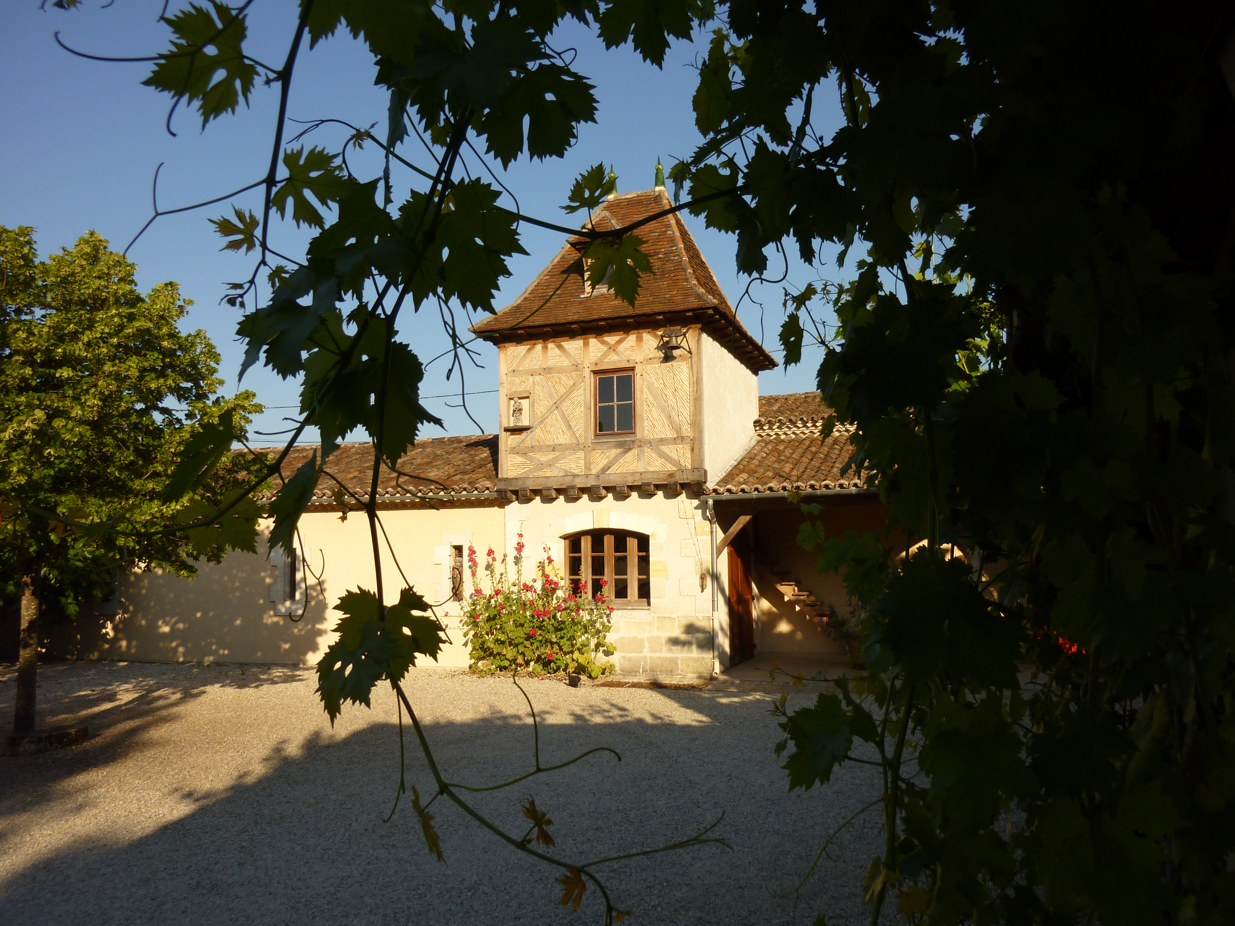 Lire la suite à propos de l’article Château Tour Haut-Caussan : une pépite du Médoc
