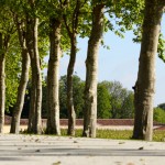 VINEXPO : Château Margaux dévoile les nouveaux chais de Norman Foster