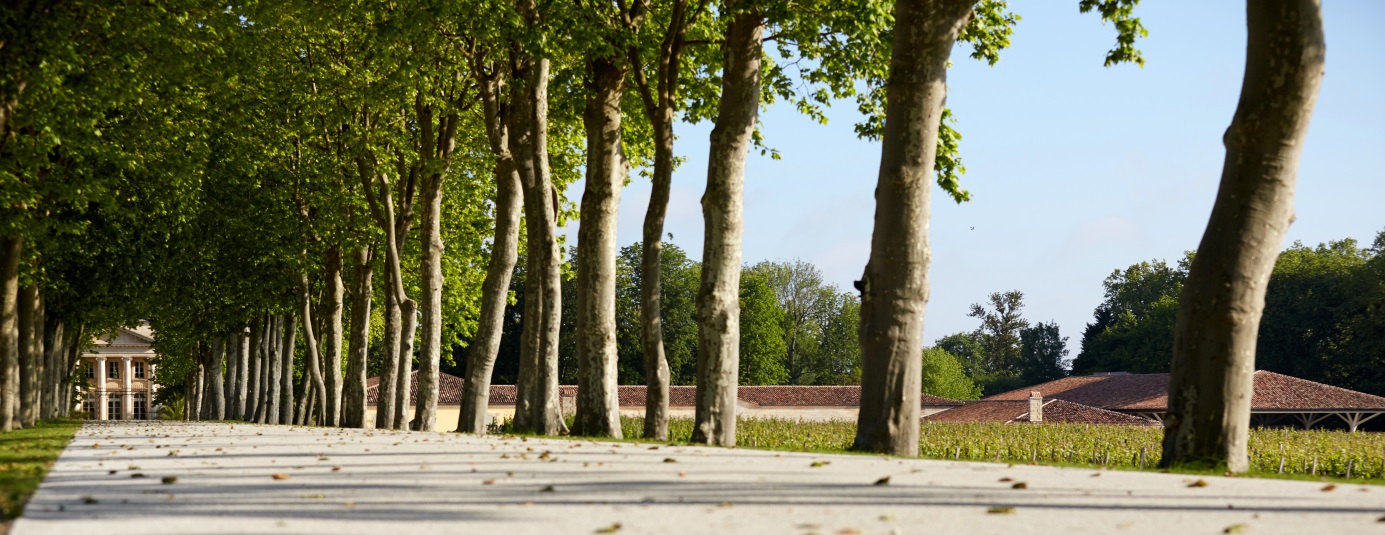 Lire la suite à propos de l’article VINEXPO : Château Margaux dévoile les nouveaux chais de Norman Foster