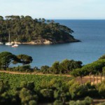 Au Château Léoube, on voit la vie en rosé