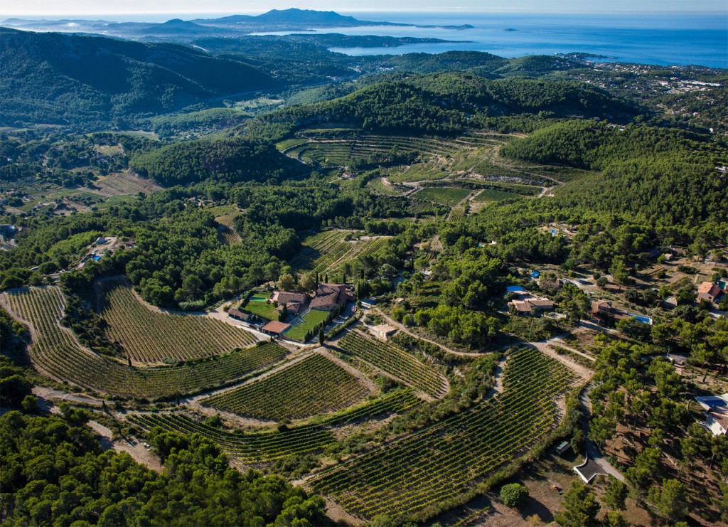 Pibarnon photo article