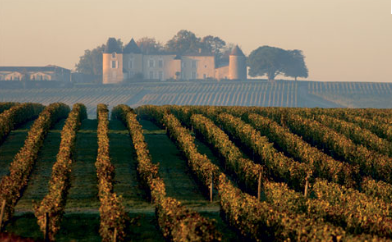 Lire la suite à propos de l’article Une coopérative pour sauver le sauternes ?