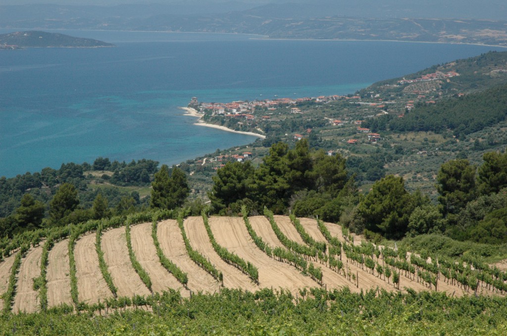 vins grecs en croissance iDealwine