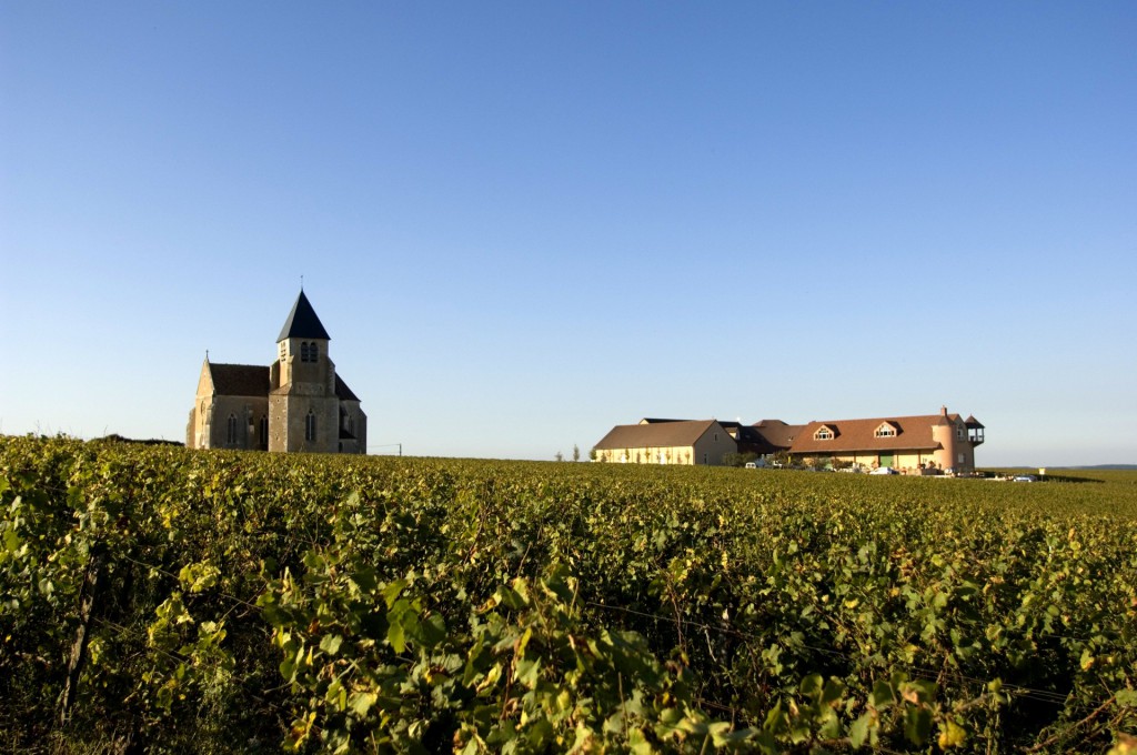 1354718985_Chai depuis les vignes