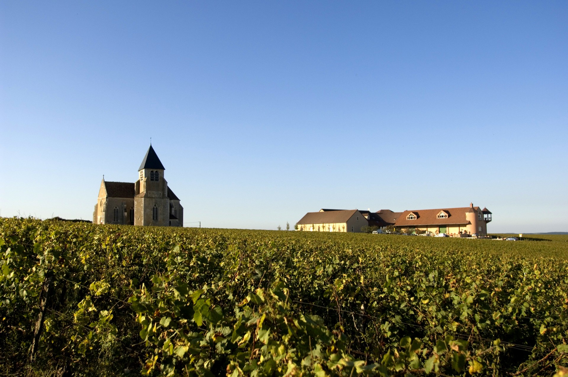 Lire la suite à propos de l’article Le premier chablis de l’histoire des Hospices de Beaune