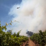 D’où provient le goût fumé d’un vin ?