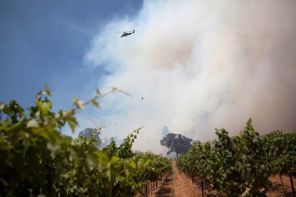 Lire la suite à propos de l’article D’où provient le goût fumé d’un vin ?