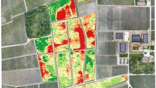 Lire la suite à propos de l’article Château Montrose : des vendanges téléguidées par drone