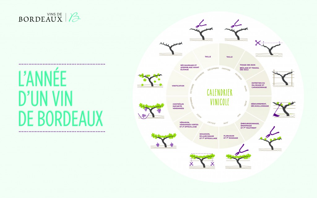 Inforgraphic3