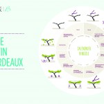 Les vendanges…  et après ?