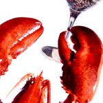 Homard : accords et recettes