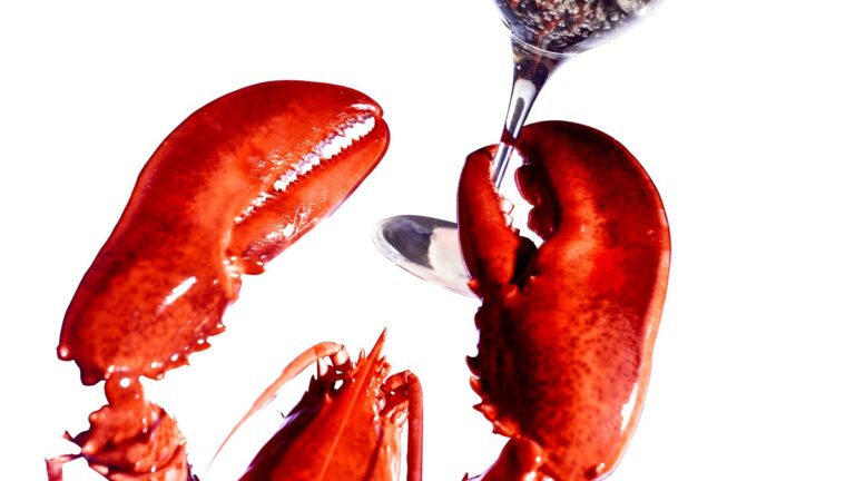 Lire la suite à propos de l’article Homard : accords et recettes