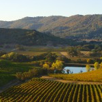 Le groupe Chanel investit dans la Napa Valley