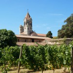 « Une île, des frères, un grand vin » : zoom sur l’Abbaye de Lérins