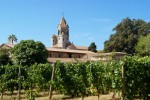 Lire la suite à propos de l’article « Une île, des frères, un grand vin » : zoom sur l’Abbaye de Lérins