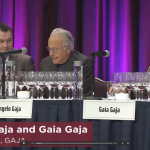 En video : comment le domaine Angelo Gaja fait face au défi du réchauffement climatique