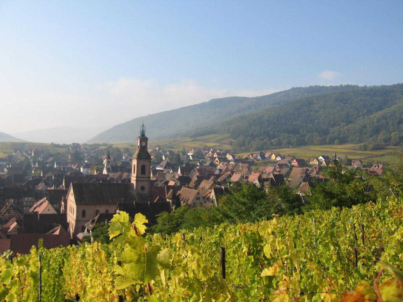 Lire la suite à propos de l’article Zoom sur une icône de l’Alsace : le domaine Deiss