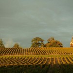 Mouvements d’actionnaires aux châteaux de Rayne-Vigneau et La Tour de Mons