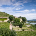 Château Grillet, zoom sur un trésor de la vallée du Rhône