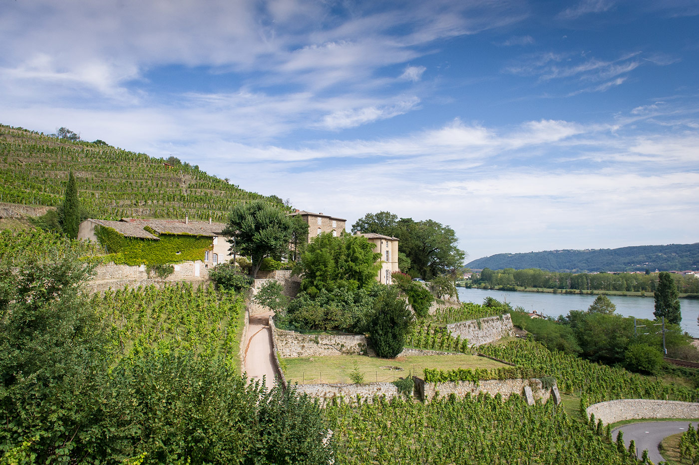 Lire la suite à propos de l’article Château Grillet, zoom sur un trésor de la vallée du Rhône