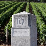 Le domaine Faiveley s’offre une parcelle de Musigny Grand Cru