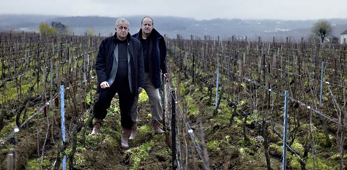 Lire la suite à propos de l’article Jacquesson : des champagnes pointus et à forte personnalité