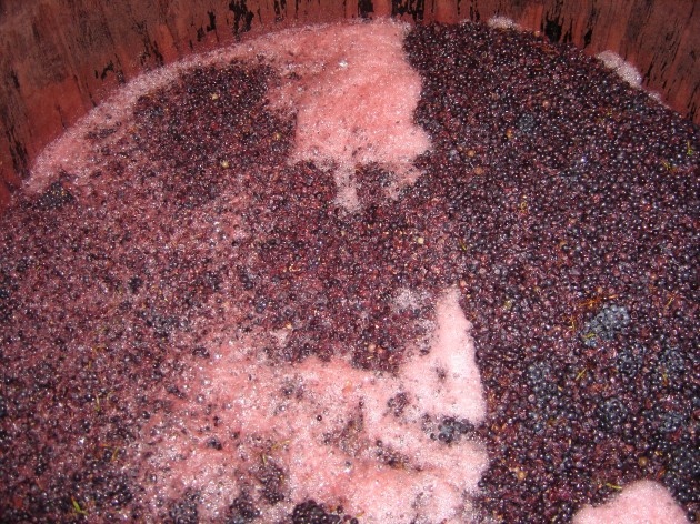 Vinification