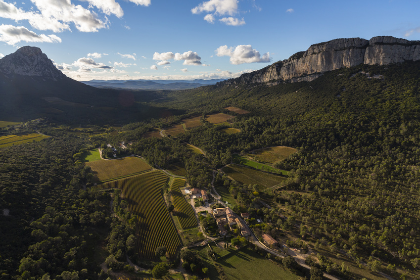 Clos Marie Languedoc vin iDealwine