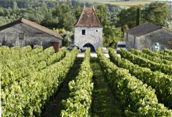 Lire la suite à propos de l’article Le Château Tour des Gendres : au sommet des vins du Sud-Ouest