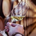 La vinification des vins blancs : méthodes et conséquences