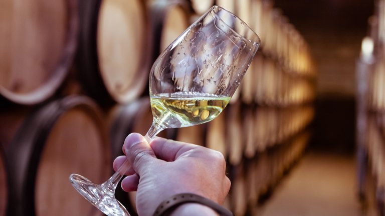 Lire la suite à propos de l’article La vinification des vins blancs : méthodes et conséquences