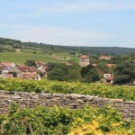 Domaine René Bouvier : dynamisme et bio à Gevrey-Chambertin