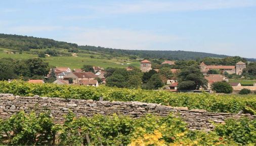 Lire la suite à propos de l’article Domaine René Bouvier : dynamisme et bio à Gevrey-Chambertin