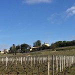 Primeurs 2015, épisode 1 – Le millésime que Bordeaux espérait