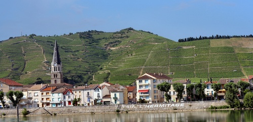 Lire la suite à propos de l’article Marché : les vins du Rhône assument leur stratégie de montée en gamme