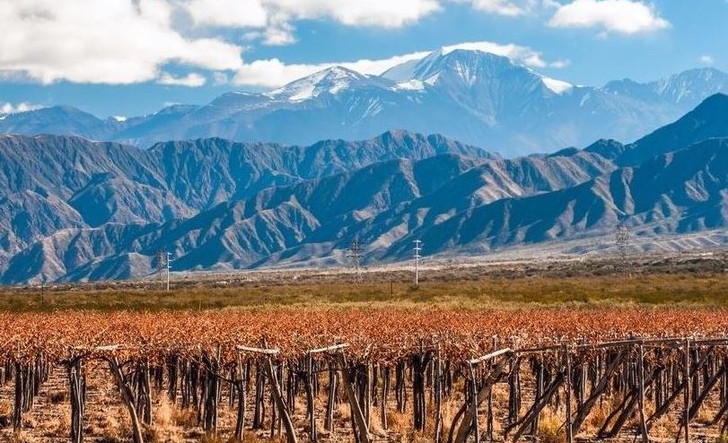 mendoza montagnes vignoble argentin