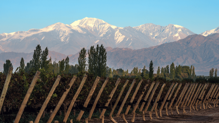 Lire la suite à propos de l’article À la découverte des vins argentins