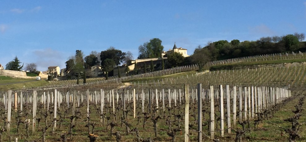 Les vignes de Saint-Emilion – Bordeaux Primeurs 2015