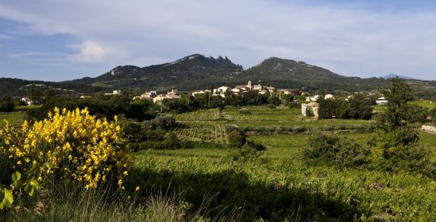 Lire la suite à propos de l’article Roucas Toumba : Eric Bouletin à la pointe de Vacqueyras