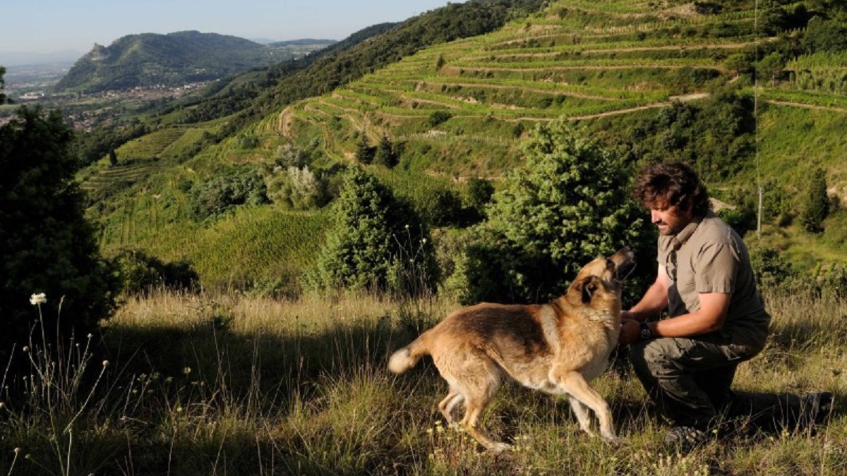 Lire la suite à propos de l’article Le domaine du Coulet, l’excellence de Cornas en biodynamie