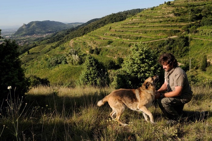 Domaine du Coulet Cornas Matthieu Barret vin iDealwine