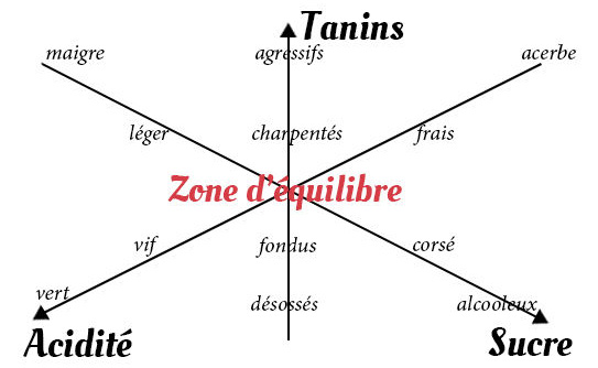 Lire la suite à propos de l’article D’où vient la saveur sucrée des vins blancs secs ?