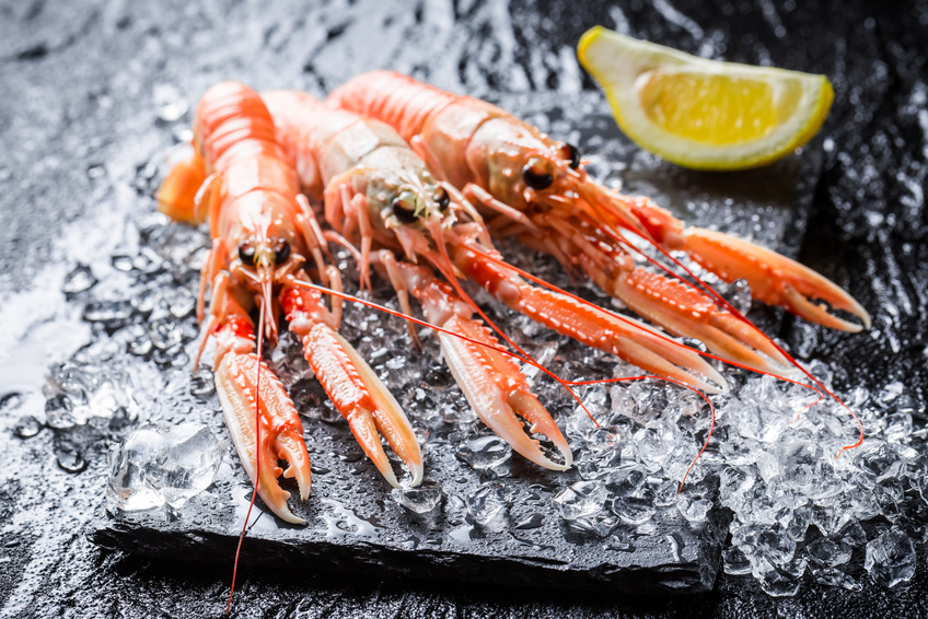 ravioles de langoustines, émulsion de bisque à l'anis vert recette accord mets et vin iDealwine