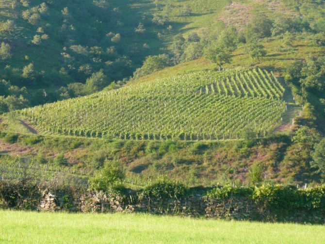 Domaine Arretxea