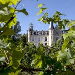 Zoom sur le château Haut-Bergey, notre coup de cœur en Pessac-Léognan