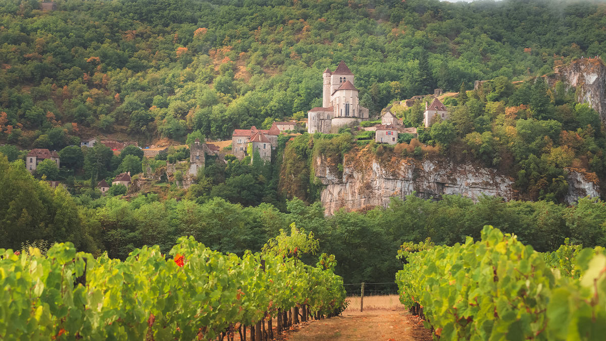 Lire la suite à propos de l’article Vins du Sud-Ouest : une grande diversité d’appellations