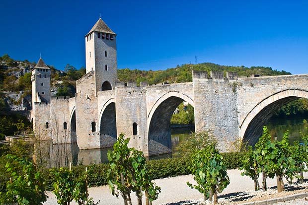 Vignes Cahors