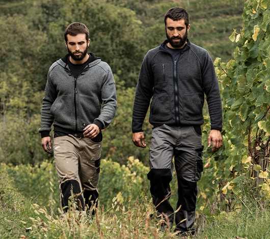 Domaine Arretxea à Irouléguy - iDealwine