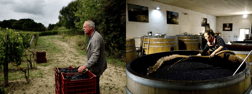 domaine de l'a stéphane derenoncourt côtes du castillon