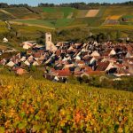 Domaine Colinot à Irancy : la perle rouge de l’Yonne